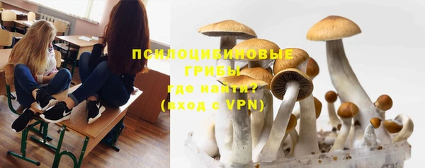 гашишное масло Богданович