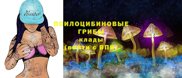 спиды Богородск
